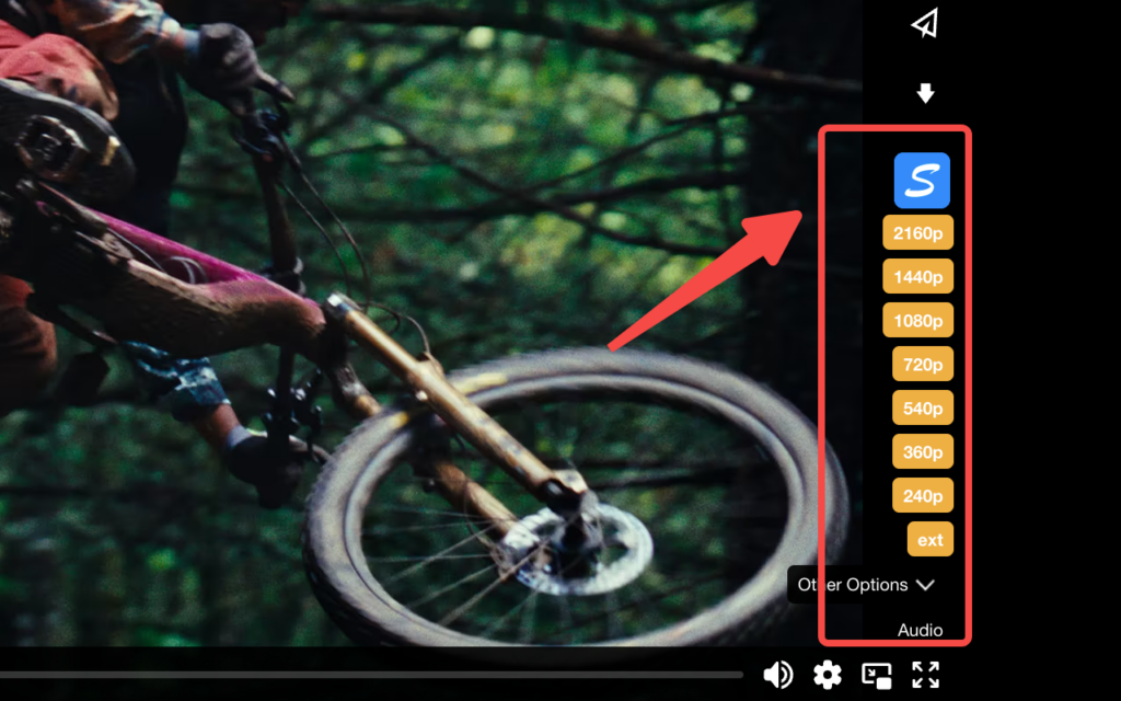 Choose video qulity to download